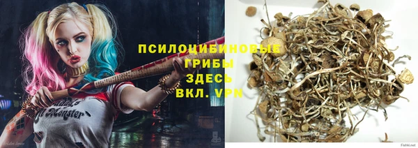 скорость Алексин